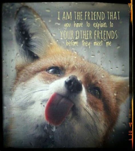 Funny Fox Quotes - ShortQuotes.cc