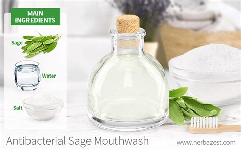 Antibacterial Sage Mouthwash | HerbaZest