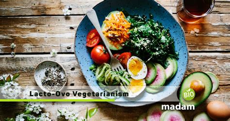 Lacto Ovo Vegetarian Dinner Recipes | Dandk Organizer