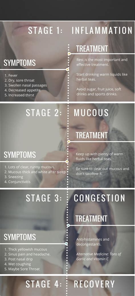 The Stages of a Cold (Exciting New 2022 Data) - urbol.com