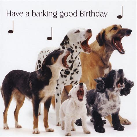 Happy Birthday Quotes For Dogs. QuotesGram