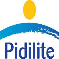 Amol Ubhayakar - President, Corporate Affairs and Special Projects at Pidilite Industries | The Org