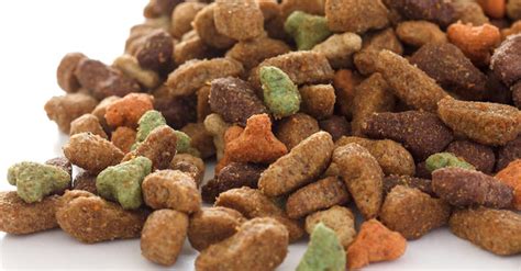 Is all kibble bad? - THRIVE4LIFE HOLISTIC PETS