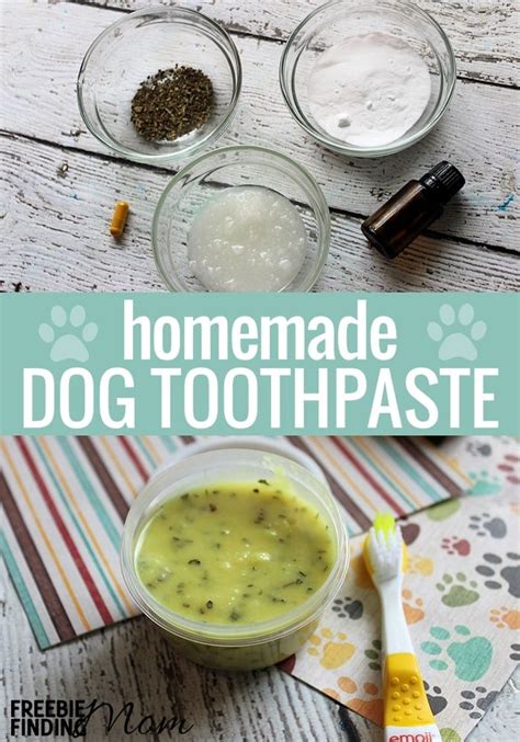 The Best Dog Toothpaste - Easy Homemade Dog Toothpaste Recipe!