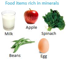 Minerals for Good Health | Green Leafy Vegetables | Proper Biological Activities