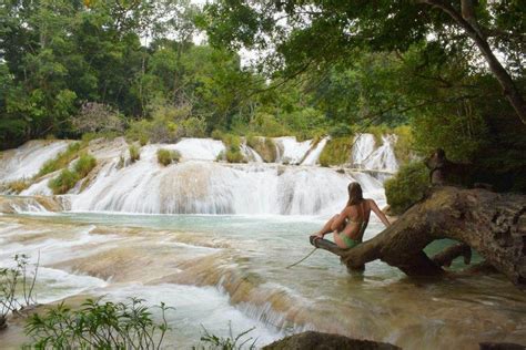 Guide to the Best Palenque Waterfalls (that you simply need to see!)