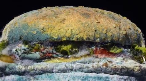 Burger King shows moldy Whopper in new ad campaign