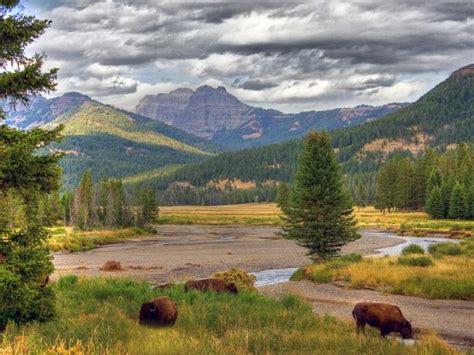 National Parks in Wyoming | Travel Channel