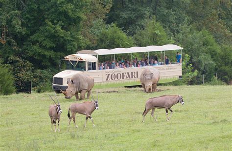 NC Zoo Holding Job Fair Tuesday | wfmynews2.com