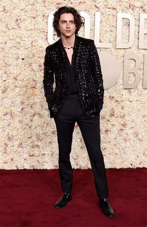 Timothée Chalamet wore Celine Homme by Hedi Slimane @ Golden Globes 2024