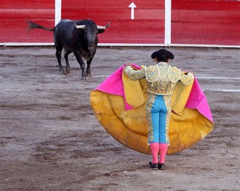 El IMIDRA ayudará a la Unión de Criadores de Toros de Lidia a mejorar la raza en beneficio del ...