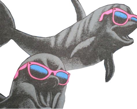 Dolphins With Color Changing Sunglasses - Gif Abyss