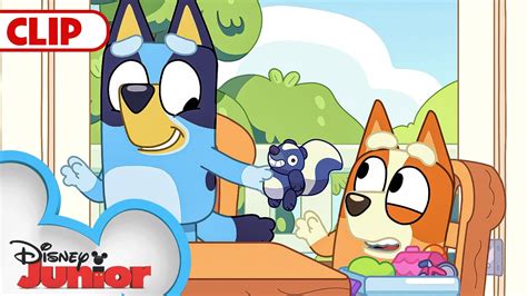 Bluey Season Episode Mini Bluey Episode Clip @disneyjunior