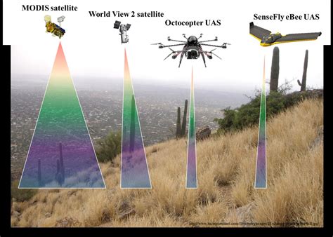 A Hierarchical Remote Sensing Approach to Manage Invasive Species on DOI Lands | Land Imaging ...