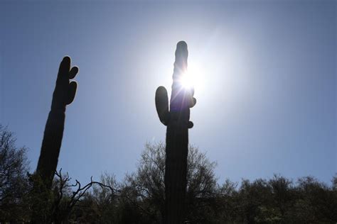 Here's how hot it was in Phoenix every day of summer 2023 | KJZZ