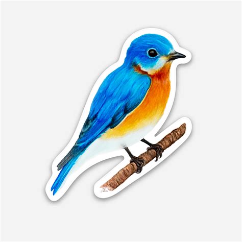 Eastern Bluebird of Happiness Sticker Waterproof Vinyl Decal | Etsy