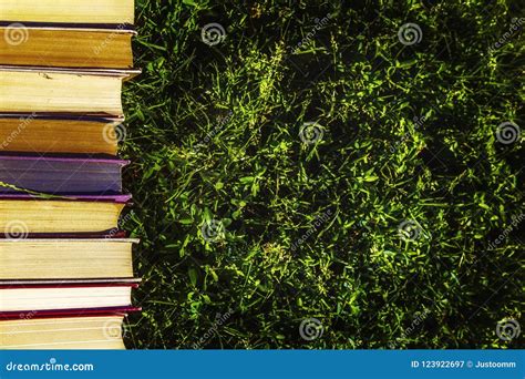 Book Tutorials are on the Green Grass Stock Image - Image of literary, leaf: 123922697