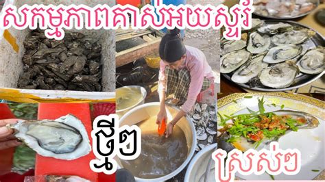 របៀបគាស់អយ័ស្ទរ័ស្រស់ៗ | How to open OYSTERS 🦪 - YouTube