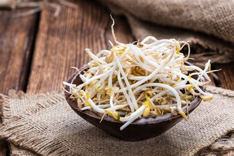 HOW TO SPROUT MUNG BEANS - TCM World