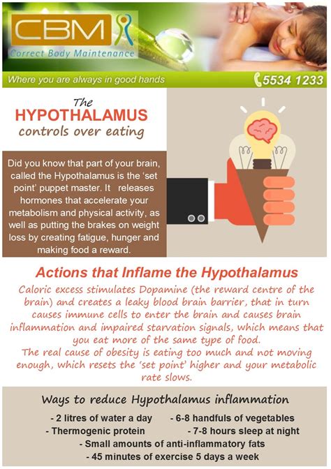 Hypothalamus controls over eating | Correct Body Maintenance