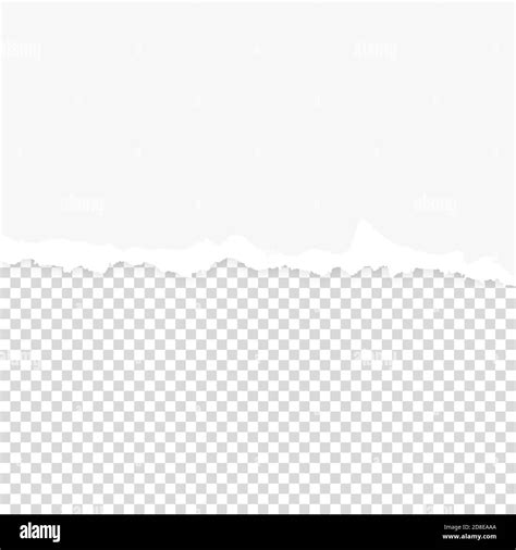 Vector Realistic White Blank Torn Ripped Paper Background. Design ...