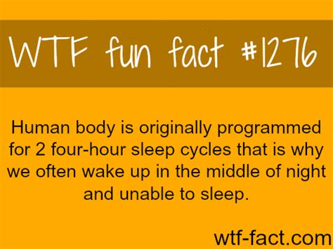 human body facts