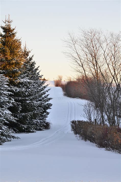 Sentier de motoneige à Rimouski. | Gaétan Lefebvre | Flickr