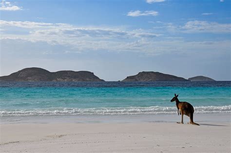 Kangaroo island : Trois jours sur l'île nature de l'Australie du sud