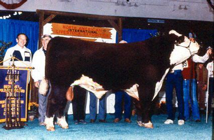 1988. "Ace Broker." Grand Champion Bull, National Polled Hereford Show ...