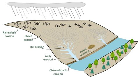 Graphical explanation of erosion and sediment formation. | Download Scientific Diagram