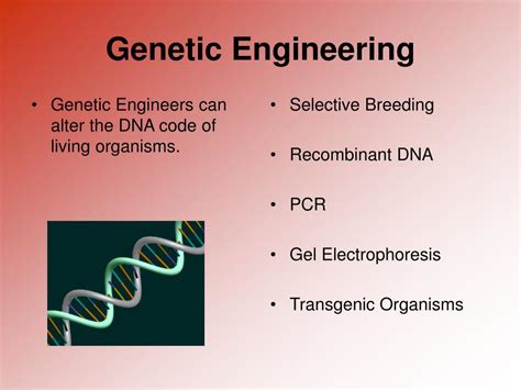 PPT - Genetic Engineering PowerPoint Presentation, free download - ID ...