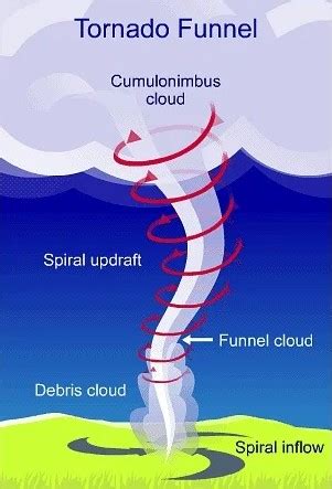 What is a tornado and how does it form? | RainViewer Blog