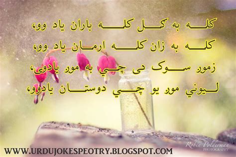 Pashto Poetry Shayari Love Romantic All