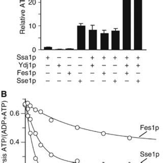 ATPase assays with Ssa1p. (A) Steady-state ATPase assay with Ssa1p ...