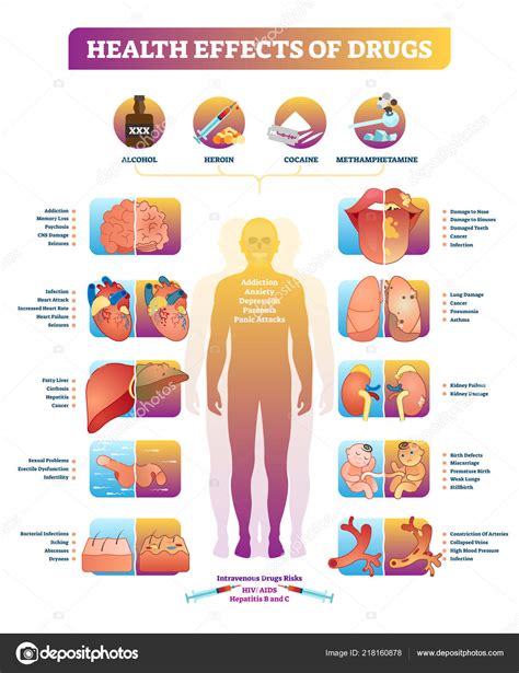 Illegal Drugs And The Human Body Worksheet