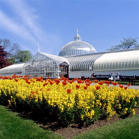 Are Dogs Allowed In Botanic Gardens Glasgow