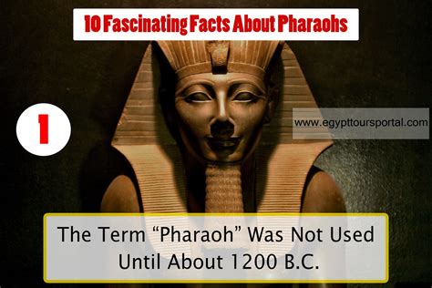 Top 10 Facts About Egyptian Pharaohs | Egyptian Pharaohs Secrets