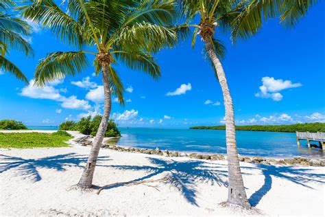 Our Guide to the Best Florida Keys Beaches – Tranquility Bay Beach Resort