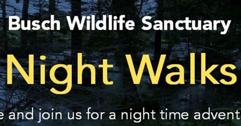 The Busch Wildlife Sanctuary Inc - Night Walk