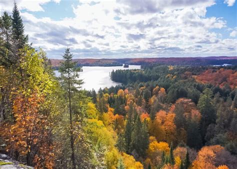 10 Best Hiking Trails in Algonquin Park for Families