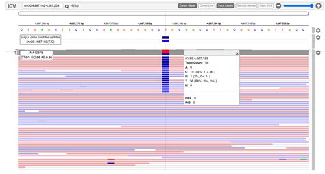 Variant calling using command-line tools - Bioinformatics Documentation