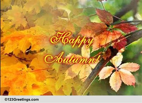 Autumn Means A Lot Of Warmth... Free Happy Autumn eCards, Greeting ...