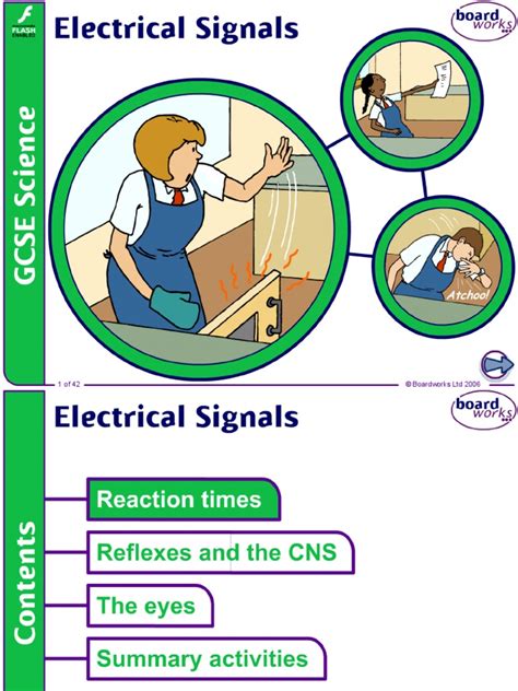 Electrical Signals v2.0 | Chemical Synapse | Neuron