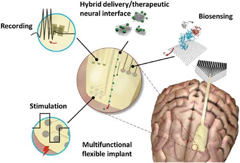 Designing next-generation neural interfaces with graphene