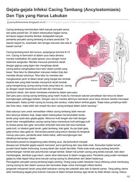 Gejala-Gejala Infeksi Cacing Tambang Ancylostomiasis Dan Tips Yang ...