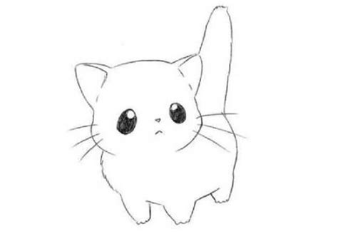 Sketsa Kucing Gambar Sketsa Hewan Kucing Yang Mudah Koleksi Gambar ...