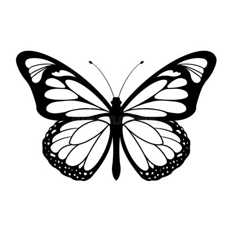 Butterfly Vector Silhouette