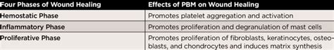 EFFECTS OF PHOTOBIOMODULATION (PBM) ON FOUR PHASES OF WOUND HEALING ...