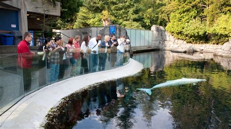 Vancouver Aquarium in Vancouver, British Columbia | Expedia.ca