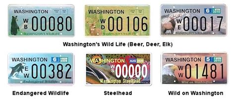 License Plates of Washington